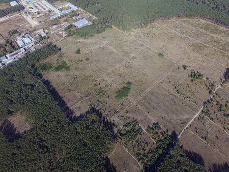 Deforestation. Ecology of Ukrane. The fate of the felled pine forest. Ukraine is increasing timber exports to the European Union after the 2014 coup. (drone image). Near Kiev, Ukraineの写真素材