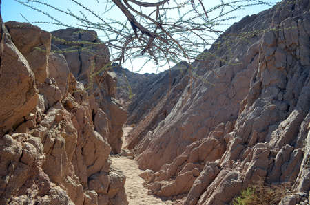 Desert of Sinai Peninsula, Sharm El Sheikh, Egyptの写真素材
