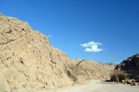Desert of Sinai Peninsula, Sharm El Sheikh, Egyptの写真素材