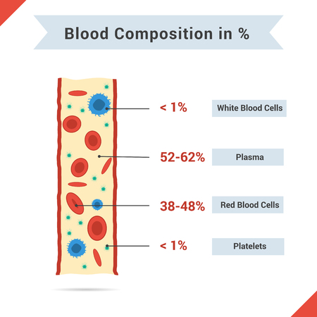 Infographics of blood composition. Tubes of blood and four components with description for articles or other mediaのイラスト素材