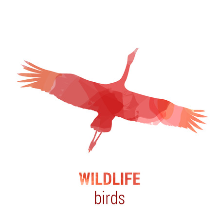 Wildlife banner on white background. Colored watercolor silhouette bird stork or shadoof.  Poster for ornithology, journey, park culture.のイラスト素材