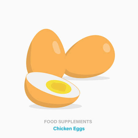 Vector flat isolated icon of food supplements - Chicken Eggsのイラスト素材
