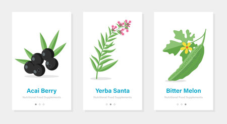 Onboarding screens design in Food concept. Modern and simplified vector illustration, Template for mobile apps.のイラスト素材