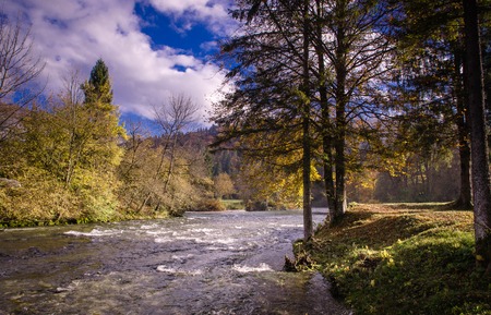 Morning landscape with river and treesの写真素材