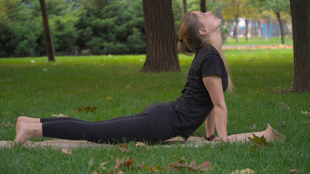 Young girl practicing yoga in the park on the green grass. Early autumn. In the grass are yellow leaves. The girl is young and healthy.の写真素材