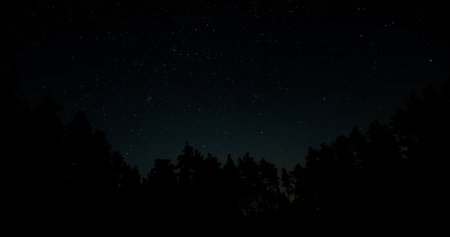 Stars in night sky over tree silhouettesの写真素材