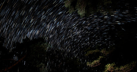 Star trails in the night sky. Stars move around a polar star. Silhouettes of trees