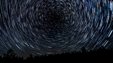 Star trails in the night sky. Stars move around a polar star. Silhouettes of treesの写真素材