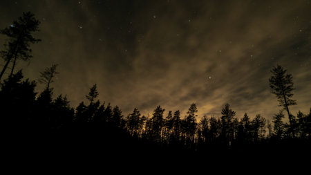 Stars and clouds in the night sky above the forestの写真素材