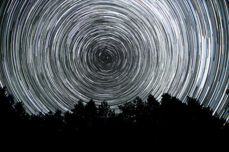 Star trails in the night sky. Stars move around a polar star. Silhouettes of trees