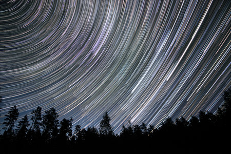 A mesmerizing display of star trails arcs across the night sky, creating a sense of motion above the dark silhouettes of trees in a quiet forest.の写真素材