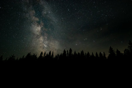 A breathtaking view features a forest silhouette against a clear night sky, showcasing countless...