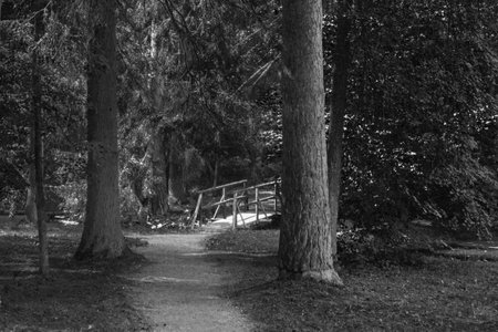 bridgeの写真素材