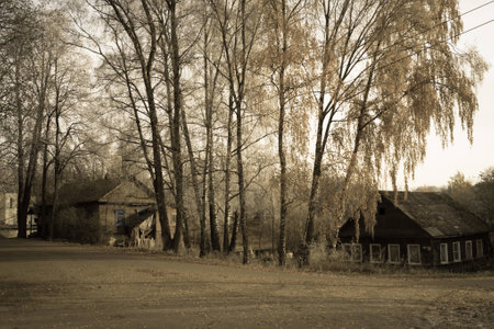 the village street and sheepの写真素材