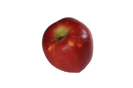 Red Apple on a white background.の写真素材