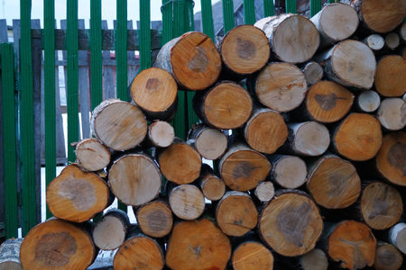firewood piled in a row.の写真素材