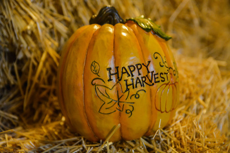 Happy harvestの写真素材