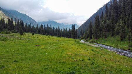 Areal view of river, green field and forest in mountains.の写真素材