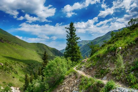 Idyllic summer landscape with hiking trail in the mountains with beautiful fresh green mountain pastures, blue sky, river and brigde.の写真素材
