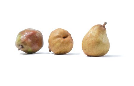 Pears isolated on white backgroundの写真素材