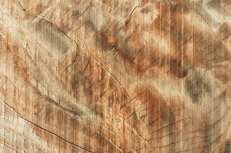 Old wood texture and background, Abstract backgroundの写真素材