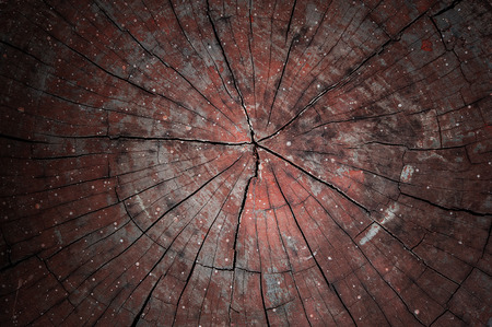 Old wood texture and background, Abstract backgroundの写真素材