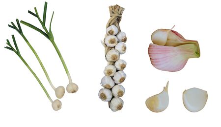 Fresh garlic bulb and garlic clove isolated on white backgroundの写真素材