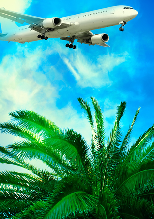 Plane flies over the palm trees. Travel concept with aircraft, clouds and palm treesの写真素材