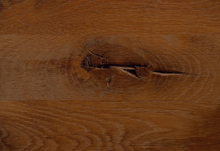 Fragment of an old oak table with cracks and holes.の写真素材