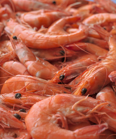 Close up. Top view of cooked tiger shrimps. Culinary background cooked shrimps cooked shrimpsの写真素材