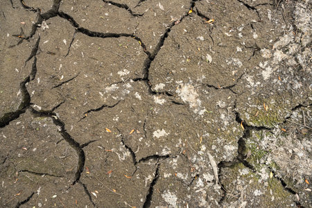 Detailed close-up of cracked dry soil with natural patterns and scattered leaves, symbolizing...