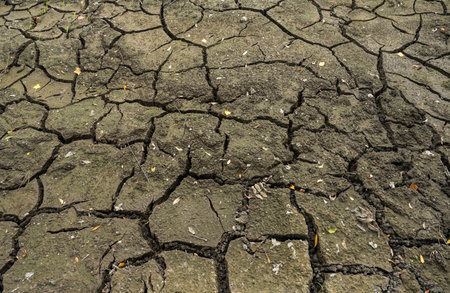 Detailed close-up of cracked dry soil with natural patterns and scattered leaves, symbolizing...