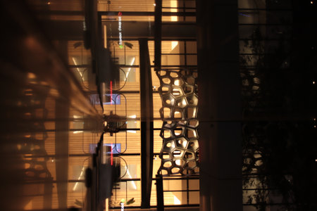 Midnight Serenade: Exploring Brisbanes Nocturnal Charmの写真素材