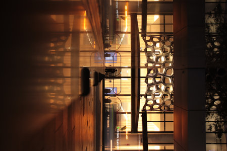 Midnight Serenade: Exploring Brisbanes Nocturnal Charmの写真素材