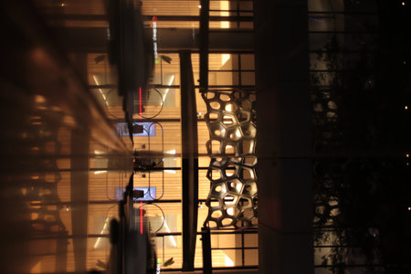 Midnight Serenade: Exploring Brisbanes Nocturnal Charmの写真素材