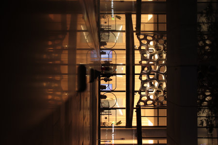 Midnight Serenade: Exploring Brisbanes Nocturnal Charmの写真素材