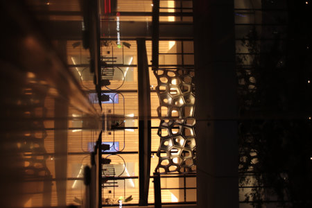 Midnight Serenade: Exploring Brisbanes Nocturnal Charmの写真素材
