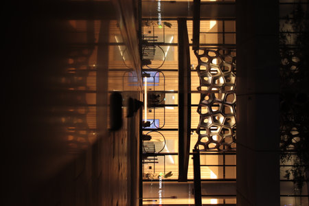 Midnight Serenade: Exploring Brisbanes Nocturnal Charmの写真素材