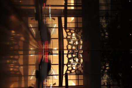 Midnight Serenade: Exploring Brisbanes Nocturnal Charmの写真素材