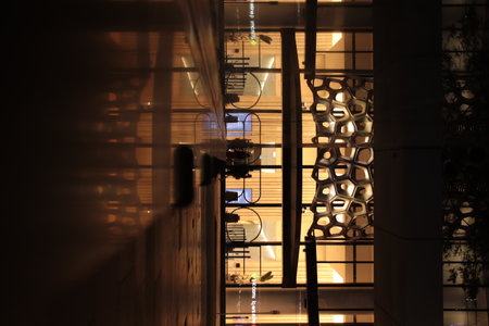 Midnight Serenade: Exploring Brisbanes Nocturnal Charmの写真素材