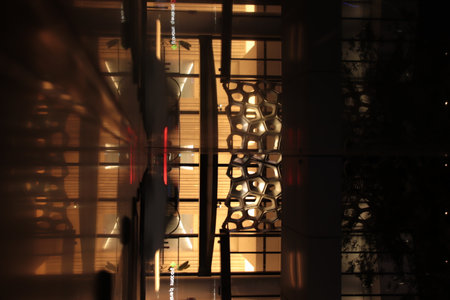 Midnight Serenade: Exploring Brisbanes Nocturnal Charmの写真素材