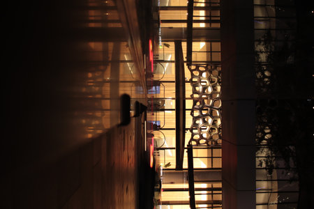 Midnight Serenade: Exploring Brisbanes Nocturnal Charmの写真素材