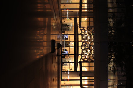 Midnight Serenade: Exploring Brisbanes Nocturnal Charmの写真素材