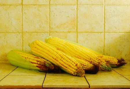 some ears of fresh young corn on a tiles background