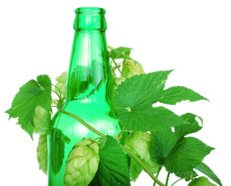 branch of golden hops and beer bottleの写真素材
