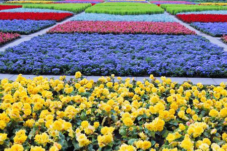 Green, blue and yellow vegetative background without focus objects の写真素材