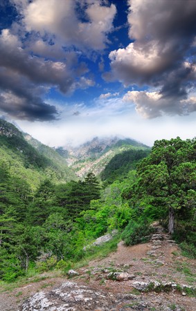 view of the mountain fogの写真素材