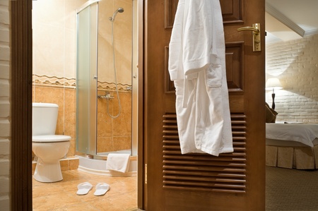 Interior. WC, bathrobe, shower cubicle.の写真素材