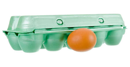 tray of chicken eggs on a white background