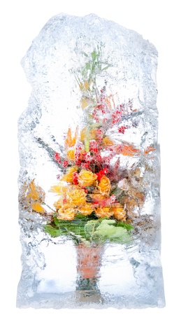 Collage . fresh flowers, frozen in a block of iceの写真素材
